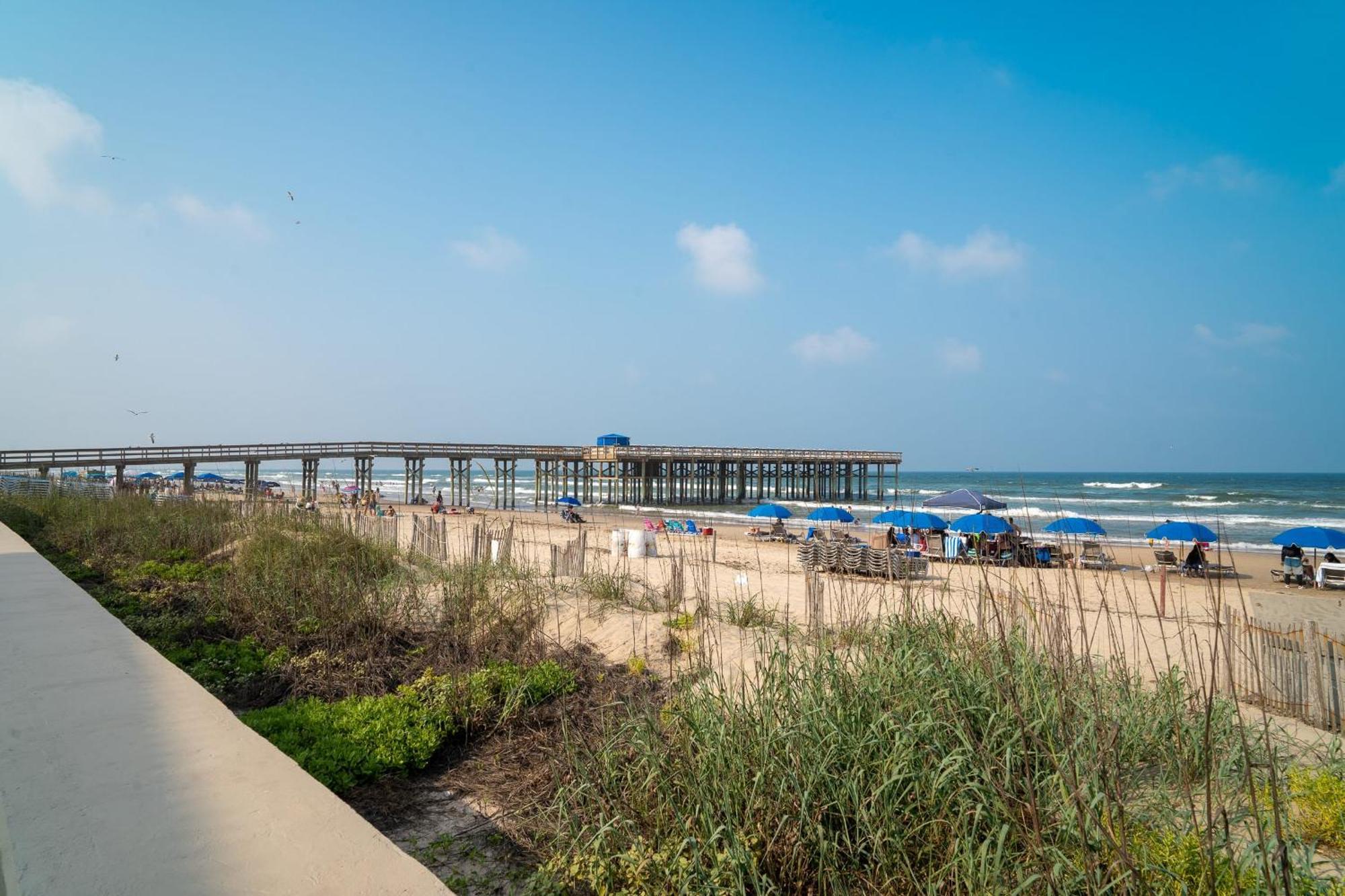 Herons Haven Coastal Elegance With Pool Access 223 南帕诸岛 外观 照片